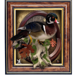 Mounting Woodducks like a Pro